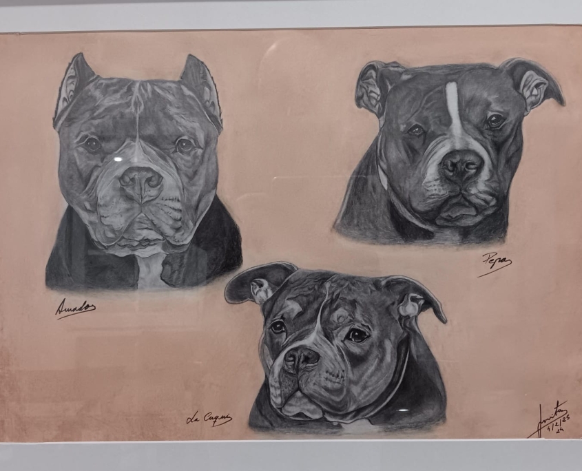 Dibujo 24