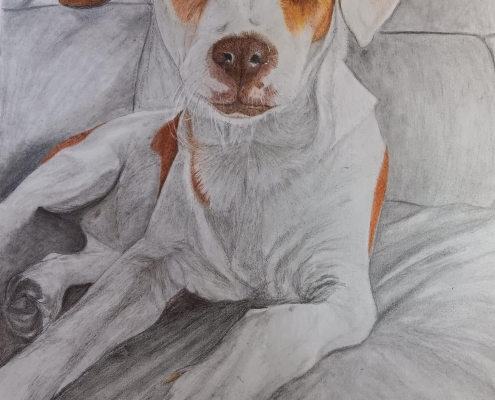 Dibujo 26