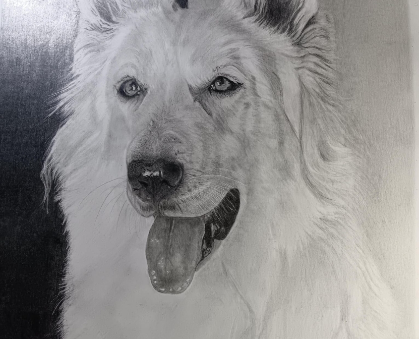 Dibujo 28 - Scooby carbonillo